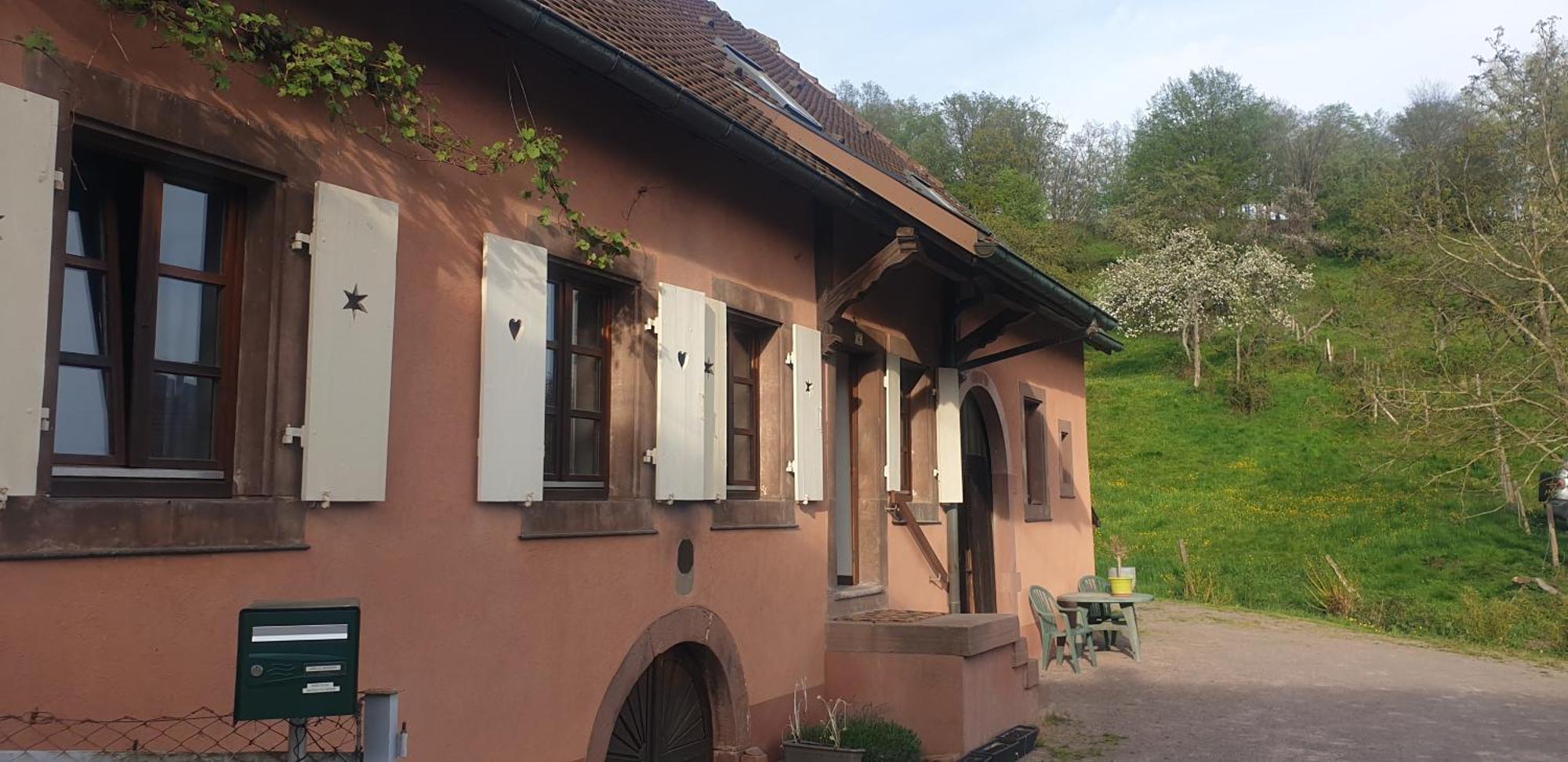 La Fermette Vosgienne De La Goutte Apartment Steige Exterior photo